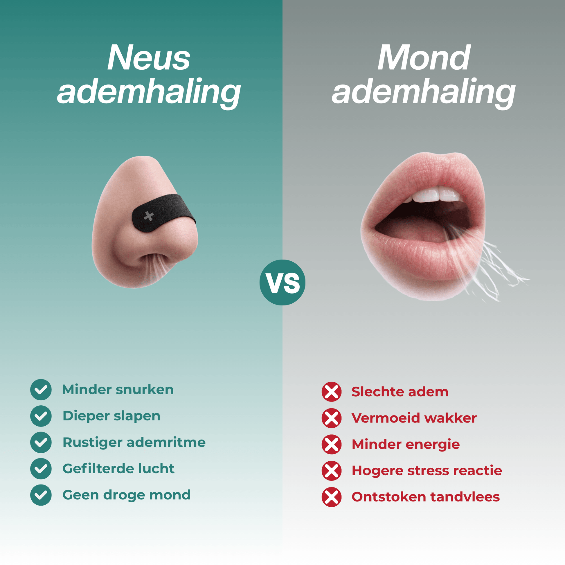 HRSTL+ Sleep Combideal - Dieper Slapen, Minder Snurken - HRSTL+