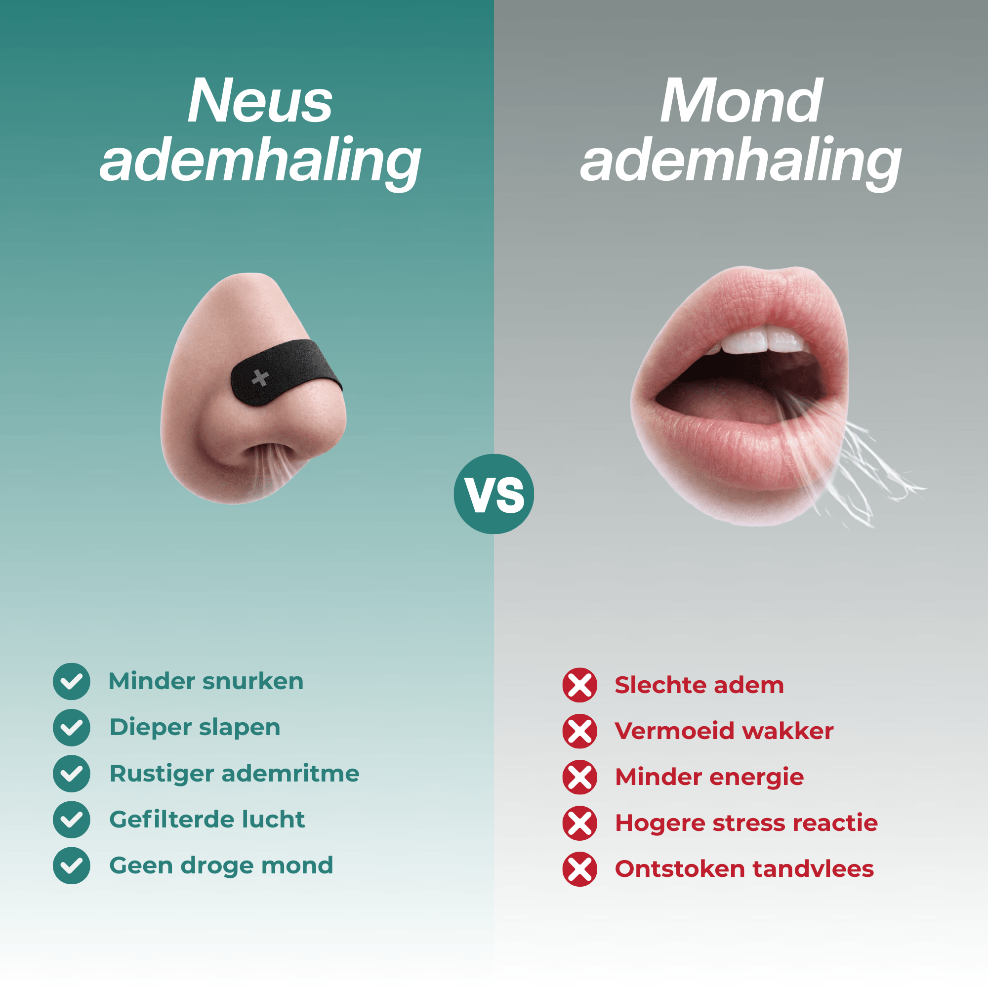 HRSTL+ SLEEP Combideal - HRSTL+